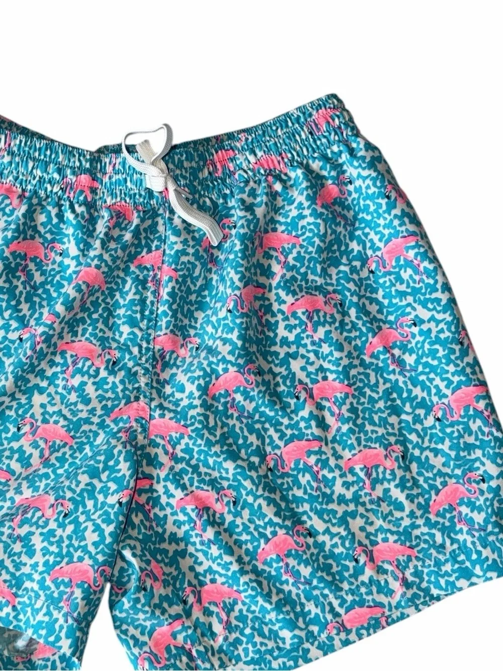 chubbies The Domingos Are For Flamingos Swim Shorts Size M